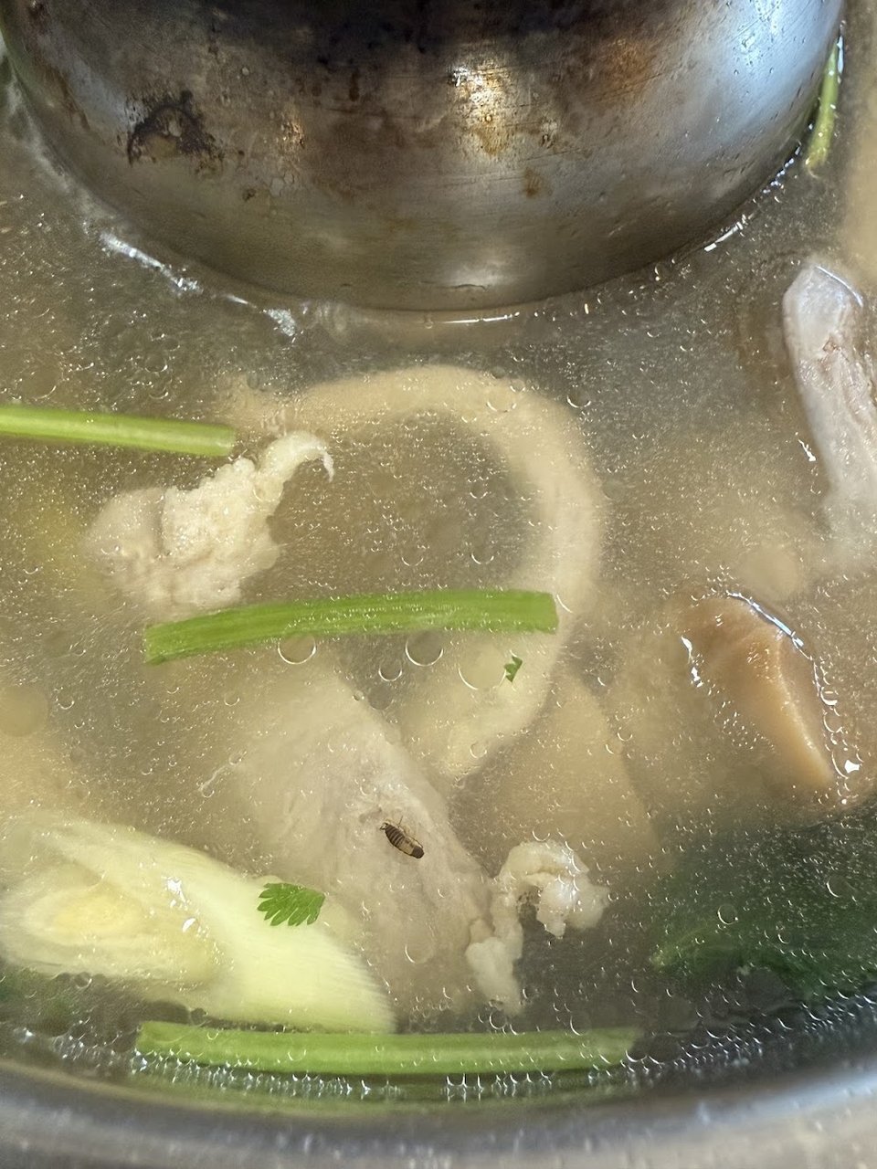Chicken Soup